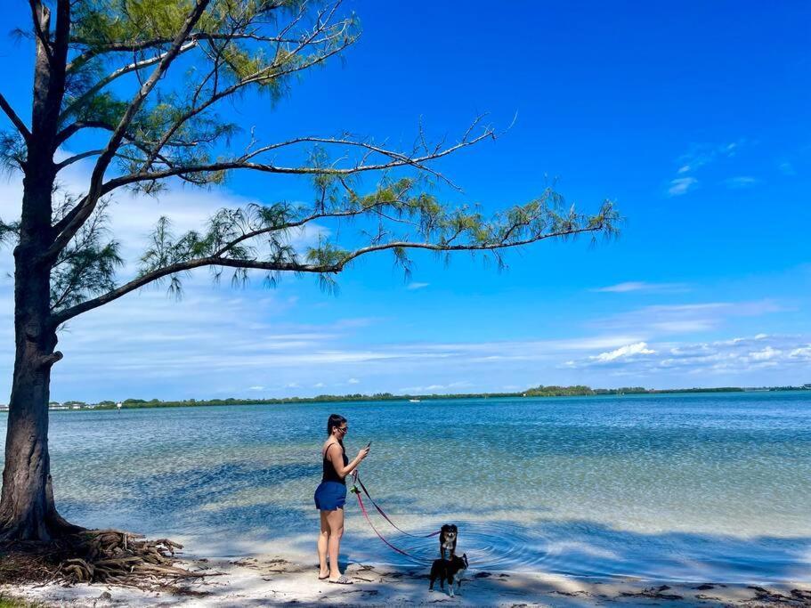 New Dog Paradise - Near The Beach Img & Downtown ブレーデントン エクステリア 写真